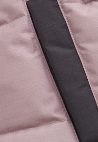 Color Kids Snowboardjacka - woodrose