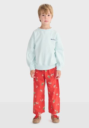 Niño pequeño de pie, vestido con un sudadera azul clara y pantalones rojos con patrones de vacas y plantas, zapatos beige con cordones rojos.