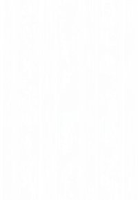 Valkoinen posliininen maljakko, jossa on sileä, kiiltävä pinta, ovaalinen muoto ja kapea aukko, suunniteltu kukkien tai koriste-esineiden säilyttämiseen.