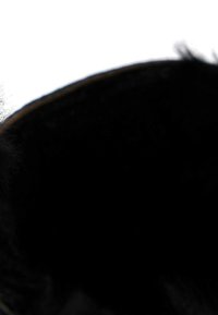 Gros plan sur l'oreille d'un chat noir avec un arrière-plan blanc flou.