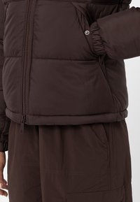 Dickies Zimní bunda - dark brown