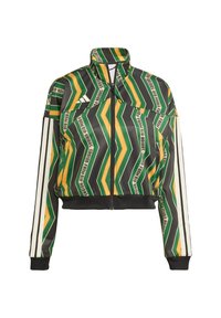 FARM TIRO TT - Bomber stiliaus striukė - black/amazon green/preloved yellow