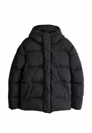 Next, REGULAR FIT - THERMOGEN SHOWER RESISTANT PUFFER JACKET - Winterjacke - black