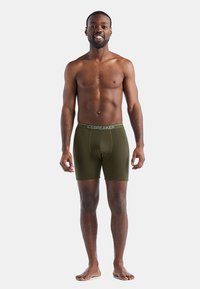 Olivgröna boxershorts i mjukt tyg, med en figurnära design, en elastisk midja med texten "ICEBREAKER" i vitt.
