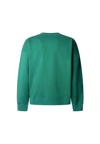 Sudadera de algodón verde con cuello redondo, mangas largas y puños acanalados. Textura suave y diseño simple de color sólido.