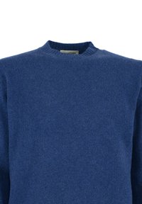 Pullover blu a maglia, con scollatura a girocollo e texture morbida. Design pulito senza motivi, adatto per un abbigliamento casual.