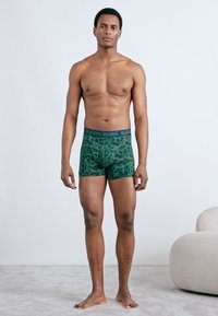 Πράσινα μποξεράκια με σχέδια και σκούρο λάστιχο μέσης που φέρει την επιγραφή "BJÖRN BORG." Το ύφασμα φαίνεται μαλακό με εφαρμοστή σχεδίαση και ανθισμένες λεπτομέρειες.