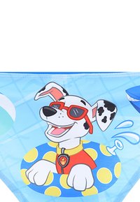 Fondo bikini presenta un cane dei cartoni animati con occhiali da sole rossi, che galleggia in una piscina blu, con pois gialli, su uno sfondo azzurro.