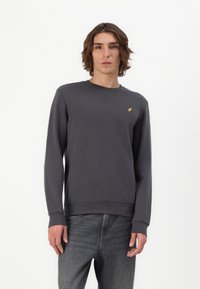 Donkergrijze sweatshirt van katoen, met lange mouwen, een ronde hals en een klein gouden logo op de borst. Gegerandeerde stof.