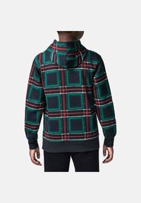 Felpa con cappuccio caratterizzata da un motivo a quadri verdi e rossi su uno sfondo scuro. Realizzata in tessuto morbido con polsini e bordo a coste.