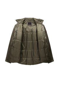 Napapijri O-CASIES LS. - Chaqueta de entretiempo - tea leaf g0a
