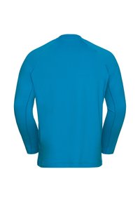 Türkises Langarmshirt, aus glattem Stoff gefertigt. Verfügt über Raglanärmel und einen geraden Saum, mit kontrastierenden Nähten entlang der Nähte.