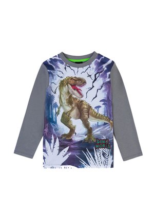 Long sleeved top - sharkskin