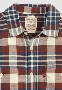 Geblokte button-up shirt in bruin, blauw en wit. Heeft een relaxte pasvorm, twee voorkruiden en een label met de merknaam.