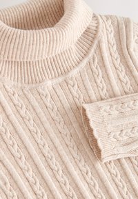 Pull à col roulé beige avec texture côtelée et motif tricoté en torsades. Présente un col et des poignets épais, mettant en valeur un design tricoté doux.