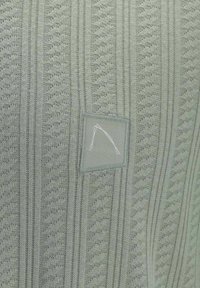 CHASIN' POINT - T-shirt basic - mid green