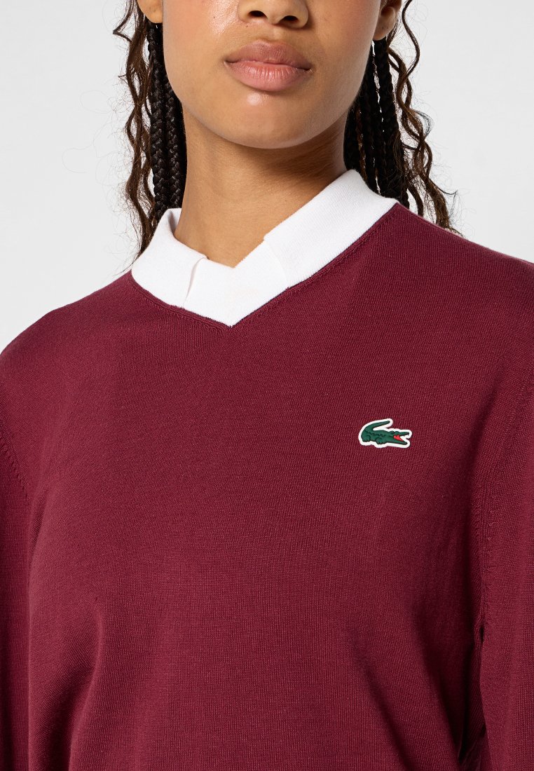 Burgunderfarbener Strickpullover mit weißem Kragen, versehen mit einem grünen Lacoste-Krokodil-Logo auf der Brust. V-Ausschnitt-Design mit glatter Textur.