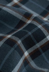 Next REGULAR FIT - Vapaa-ajan kauluspaita - navy blue check