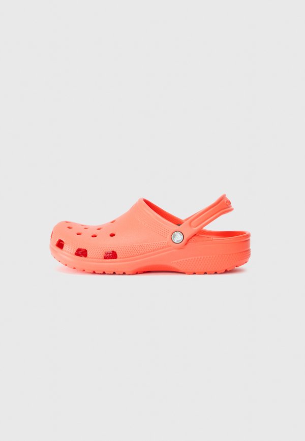 CLASSIC UNISEX - Clogs - starfish