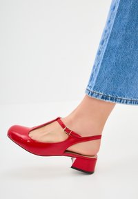 Cesare Gaspari Avokkaat - red
