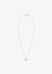 Pasirinkta, silver-coloured