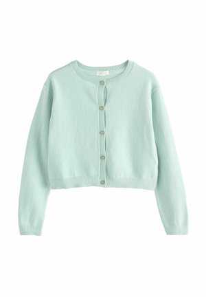 Mintgrön stickad cardigan med långa ärmar, rund halsringning och knäppning fram. Har ribbade manschetter och nederkant. Mjuk textur.