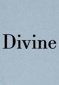Tessuto azzurro chiaro con la parola "Divino" in grassetto e carattere serif nero. La trama è morbida con una leggera lucentezza.