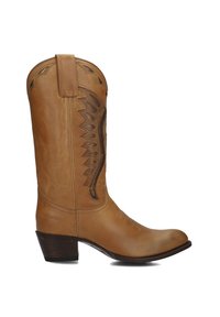 Tanleren cowboylaars met een spitse neus, decoratieve stiksels en bruine accenten op de schacht. Korte gestapelde hak, gladde textuur.