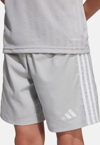 Lichte grijze sportshorts van vochtafvoerende stof, met witte zijkanten en een geborduurd logo op de zoom.