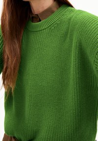 Person mit langen braunen Haaren, die einen leuchtend grünen Strickpullover über einem braunen Hemd mit Kragen trägt, vom Hals bis zur Taille zugeschnitten.