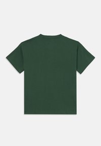Grünes Baumwoll-T-Shirt, kurze Ärmel, Rundhalsausschnitt, einfarbig, glatte Textur, keine sichtbaren Grafiken oder Verzierungen, Rückansicht.