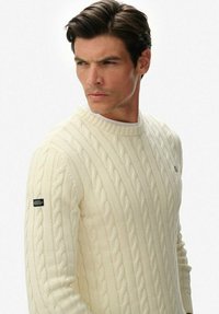 Suéter de punto trenzado crema con cuello redondo, puños acanalados y una pequeña etiqueta negra en la manga izquierda. Diseño texturizado y acogedor.