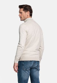 Lichtgrijze gebreide trui met een hoge kraag, strakke mouwen en een geribbelde onderrand. Het model draagt een blauwe spijkerbroek.