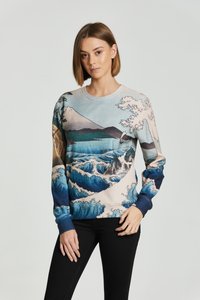 Sinine-beež lainemustriga pullover, kõrge kaeluse ja pikkade varrukatega, lõdva lõikega. Kangas tundub pehme ja rikkalike trükistega.