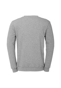 Grijze sweatshirt met lange mouwen, ronde halslijn en geribbelde manchetten. Gladde textuur, effen kleur, geen zichtbare patronen of versieringen.