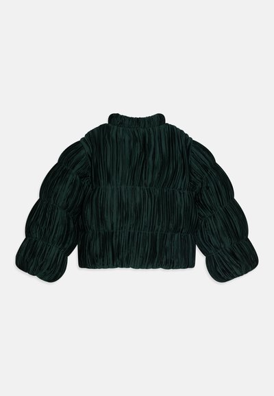 Puffed green jacket with a textured, pleated design. Features a high neck and voluminous sleeves, with a cropped hem.