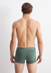 Grüne, dehnbare Baumwollboxershorts mit einem glatten Bund, die über ein dezentes Nahtdetail und eine enge Passform verfügen, von hinten betrachtet.