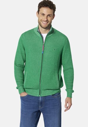Lächelnder Mann, der einen grünen gestrickten Reißverschlusspullover und blaue Jeans trägt, steht mit einer Hand in der Tasche vor einem schlichten Hintergrund.