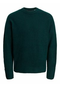 JOROLLIE CREW NECK - Jersey de punto - magical forest