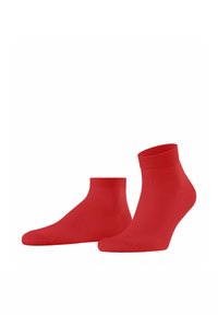 Unausgewählt, tulip