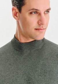 Zielony sweter z golfem w prążki o miękkiej fakturze, dopasowanym kołnierzu i minimalistycznym wzornictwie, z gładkim wykończeniem.