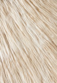 LA MANIA MARRISA - Žieminė striukė - beige