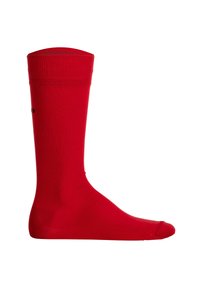 HUGO 6ER PACK - RS UNI KURZ LOGO - Strømper - dunkelblau grün rot