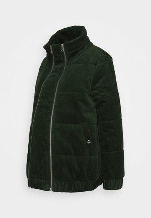 MLDAPHNE JACKET - Kurtka zimowa - mountain view