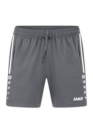 TEAMSPORT ALLROUND - Shorts - grau