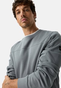 Grijze katoenen sweatshirt met een ronde hals, geribbelde manchetten en een naadontwerp over de borst. Heeft een klein logo op de mouw.