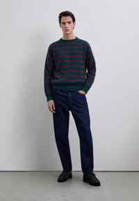 Groen en rood gestreepte trui met een ronde hals, gecombineerd met donkerblauwe spijkerbroek. Model draagt zwarte schoenen en staat tegen een lichte achtergrond.