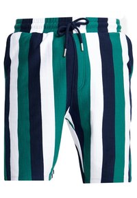 Shorts rayés avec des couleurs alternantes bleu marine, vert et blanc, conçus en tissu texturé, avec une taille ajustable à cordon.