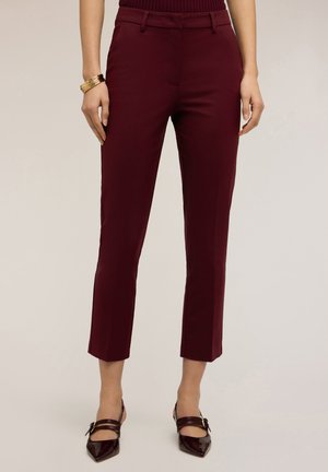 REGULAR MISTO - Chino - bordeaux