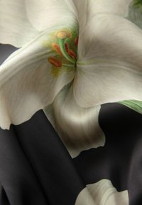 Tissu à motif floral présentant de grandes fleurs blanches avec des détails verts et orange sur un fond noir foncé, texture lisse.